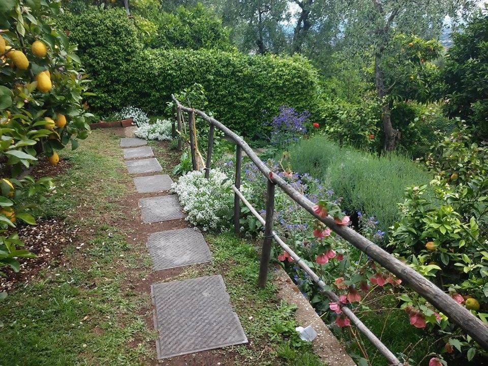 Residenza Buggiano Antica B&B - Charme Apartment In Tuscany Борго а Буджано Екстериор снимка